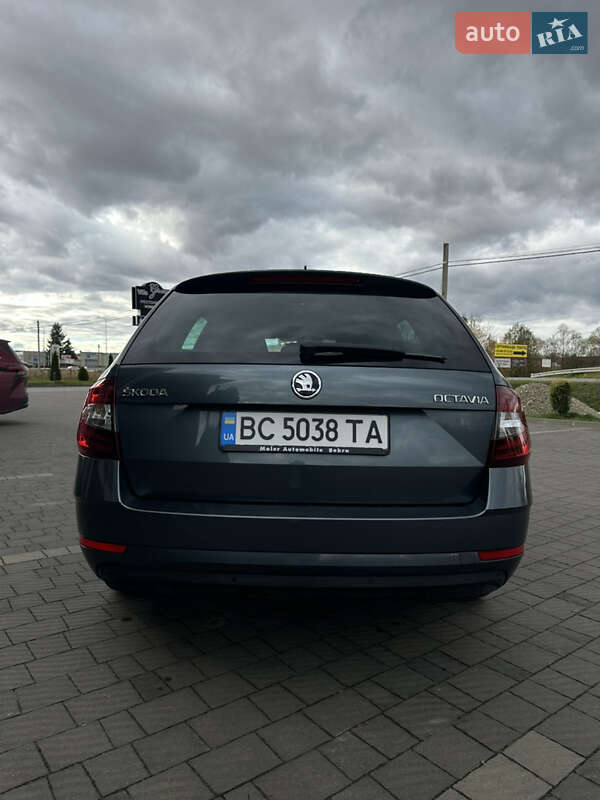 Универсал Skoda Octavia 2017 в Стрые фото 15 Универсал Skoda Octavia 2017 в Стрые