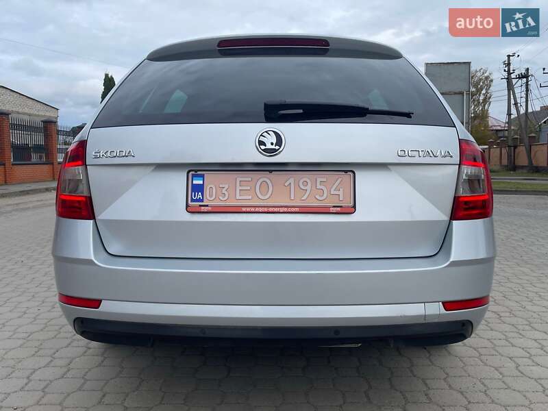 Универсал Skoda Octavia 2019 в Луцке фото 7 Универсал Skoda Octavia 2019 в Луцке