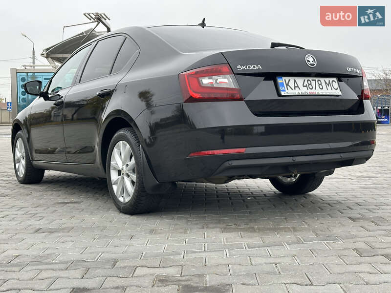 Лифтбек Skoda Octavia 2020 в Николаеве фото 6 Лифтбек Skoda Octavia 2020 в Николаеве