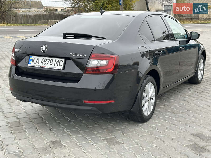 Лифтбек Skoda Octavia 2020 в Николаеве фото 13 Лифтбек Skoda Octavia 2020 в Николаеве
