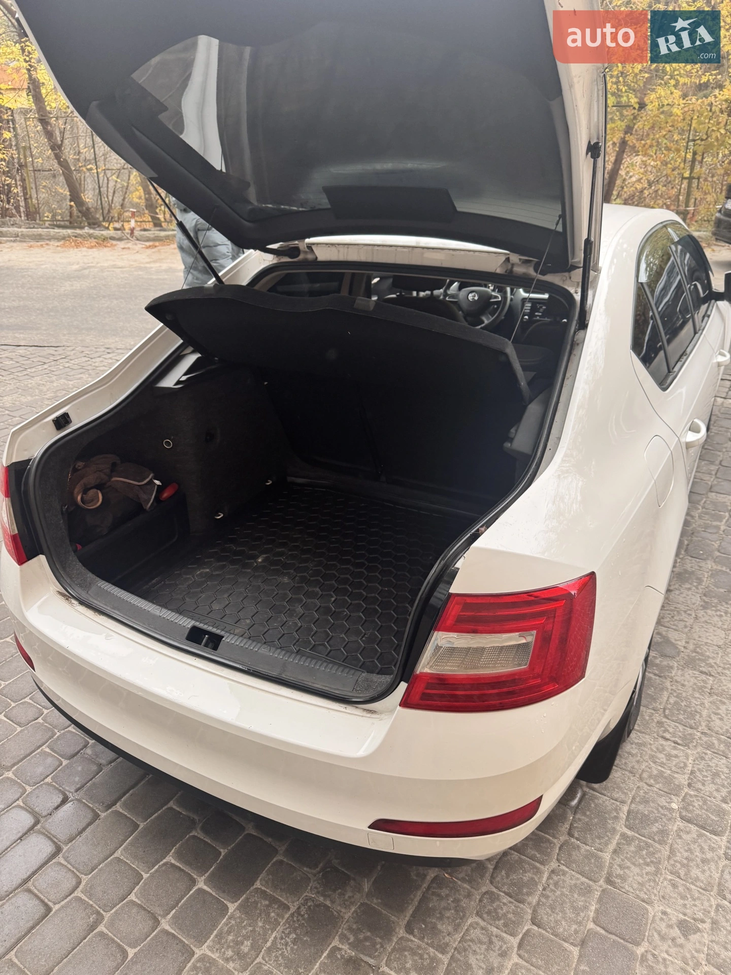 2015 Skoda Octavia - мініатюра 14
