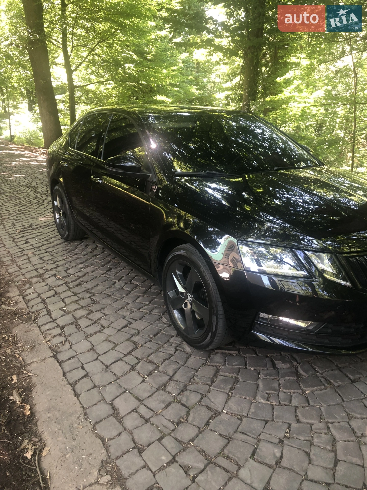 2017 Skoda Octavia - фото 1