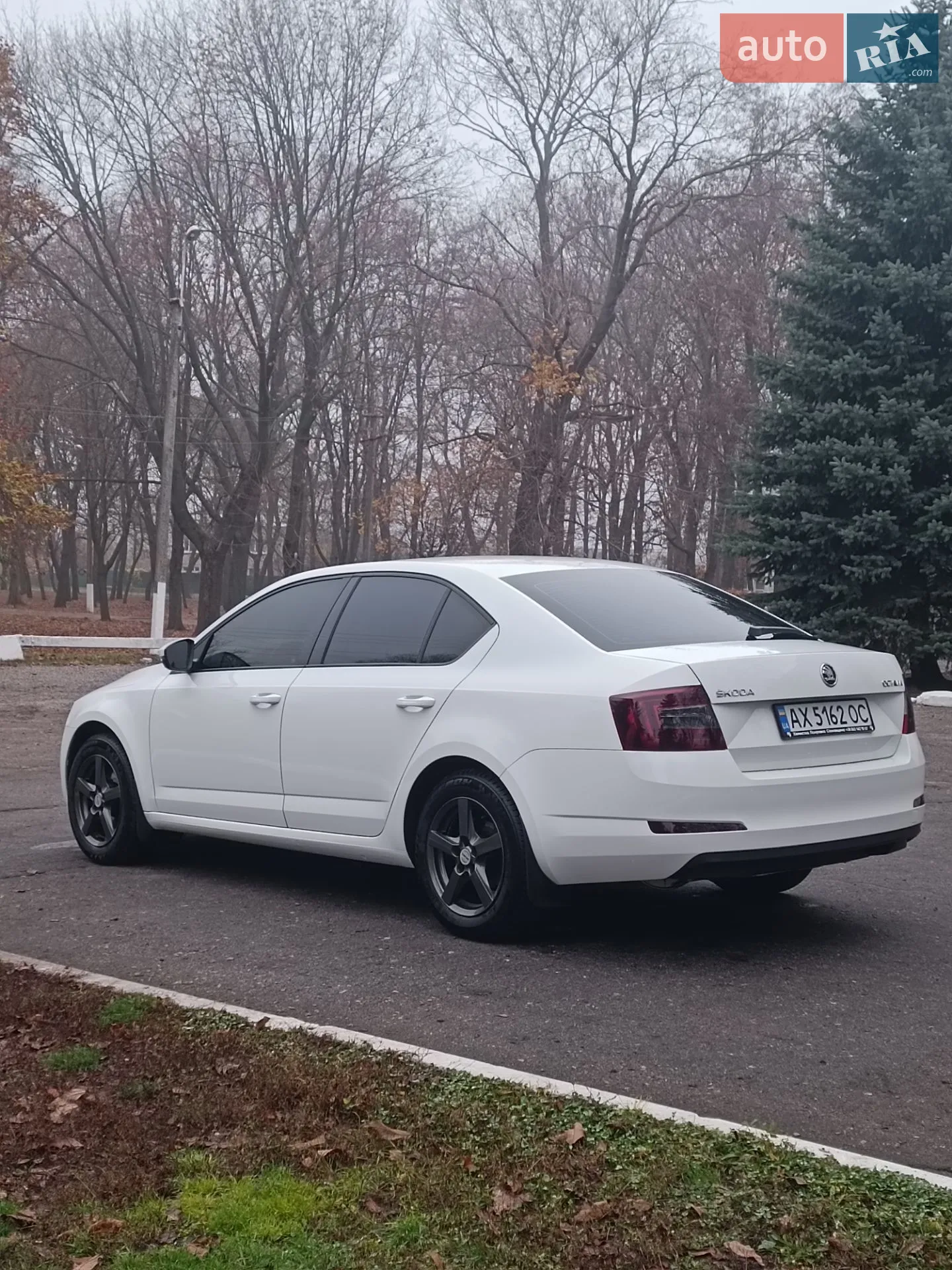 2013 Skoda Octavia - мініатюра 5