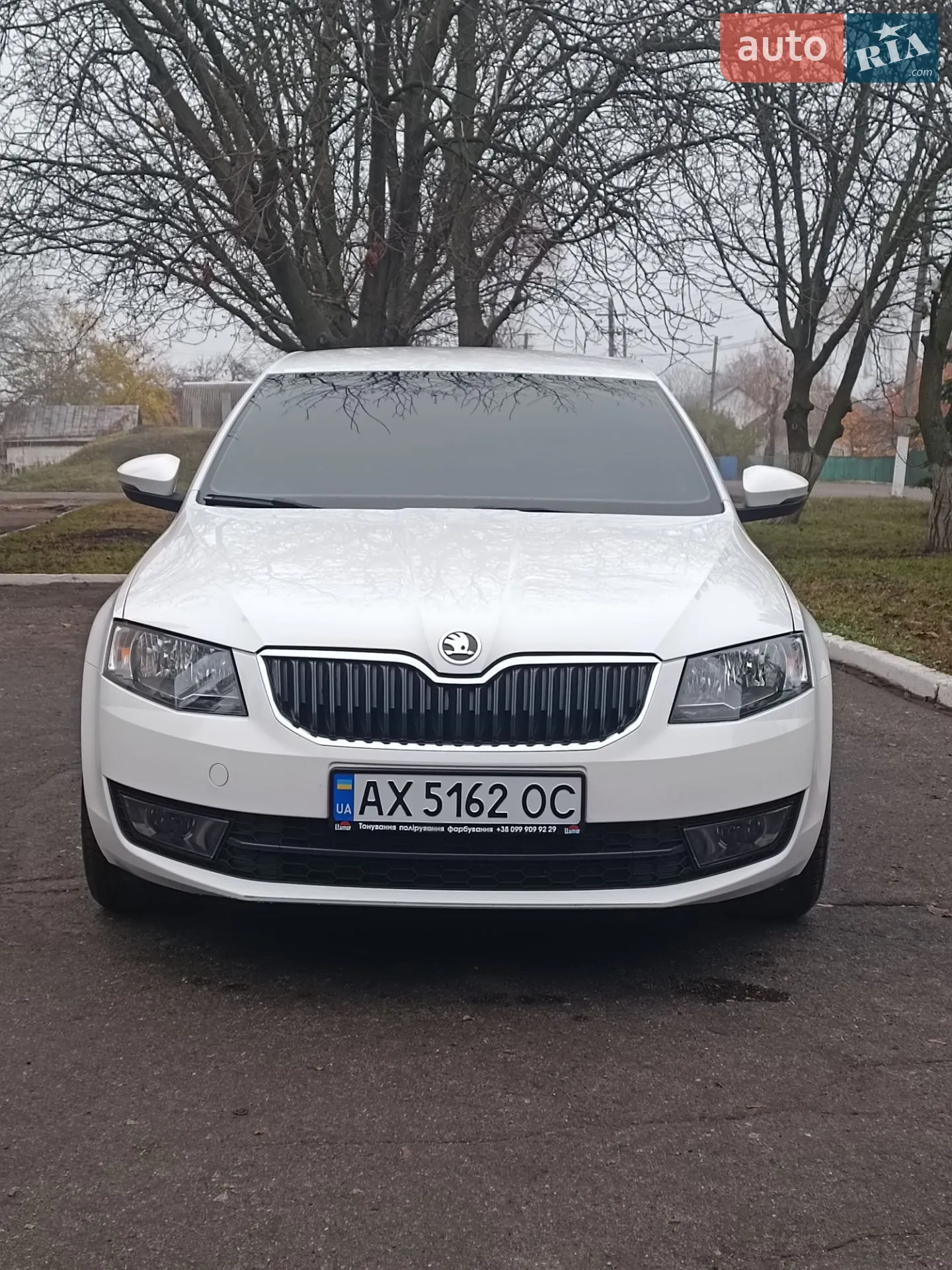 2013 Skoda Octavia - мініатюра 2