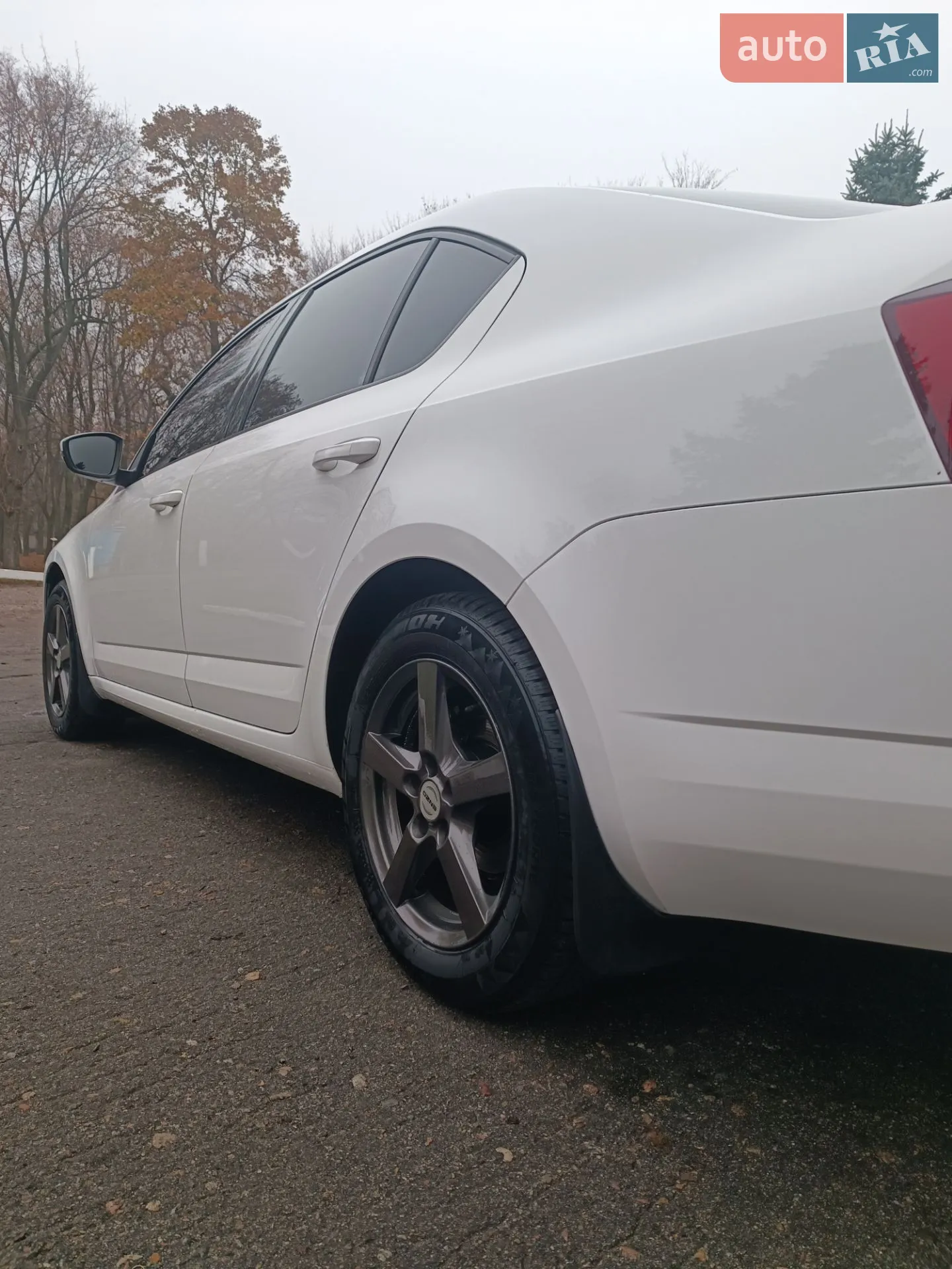 2013 Skoda Octavia - мініатюра 11