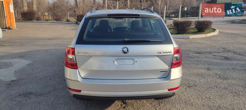 Универсал Skoda Octavia 2019 в Киеве фото 21 Универсал Skoda Octavia 2019 в Киеве