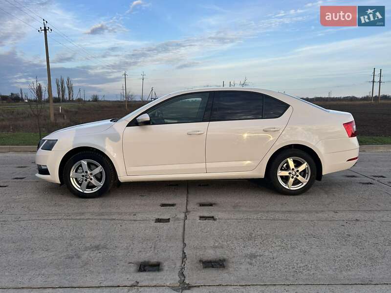 Ліфтбек Skoda Octavia 2019 в Полтаві фото 31 Ліфтбек Skoda Octavia 2019 в Полтаві