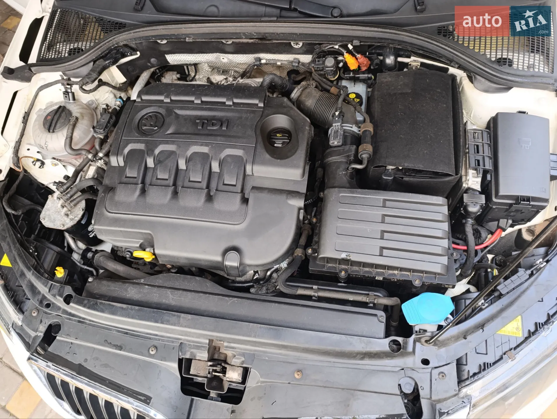 2013 Skoda Octavia - мініатюра 25