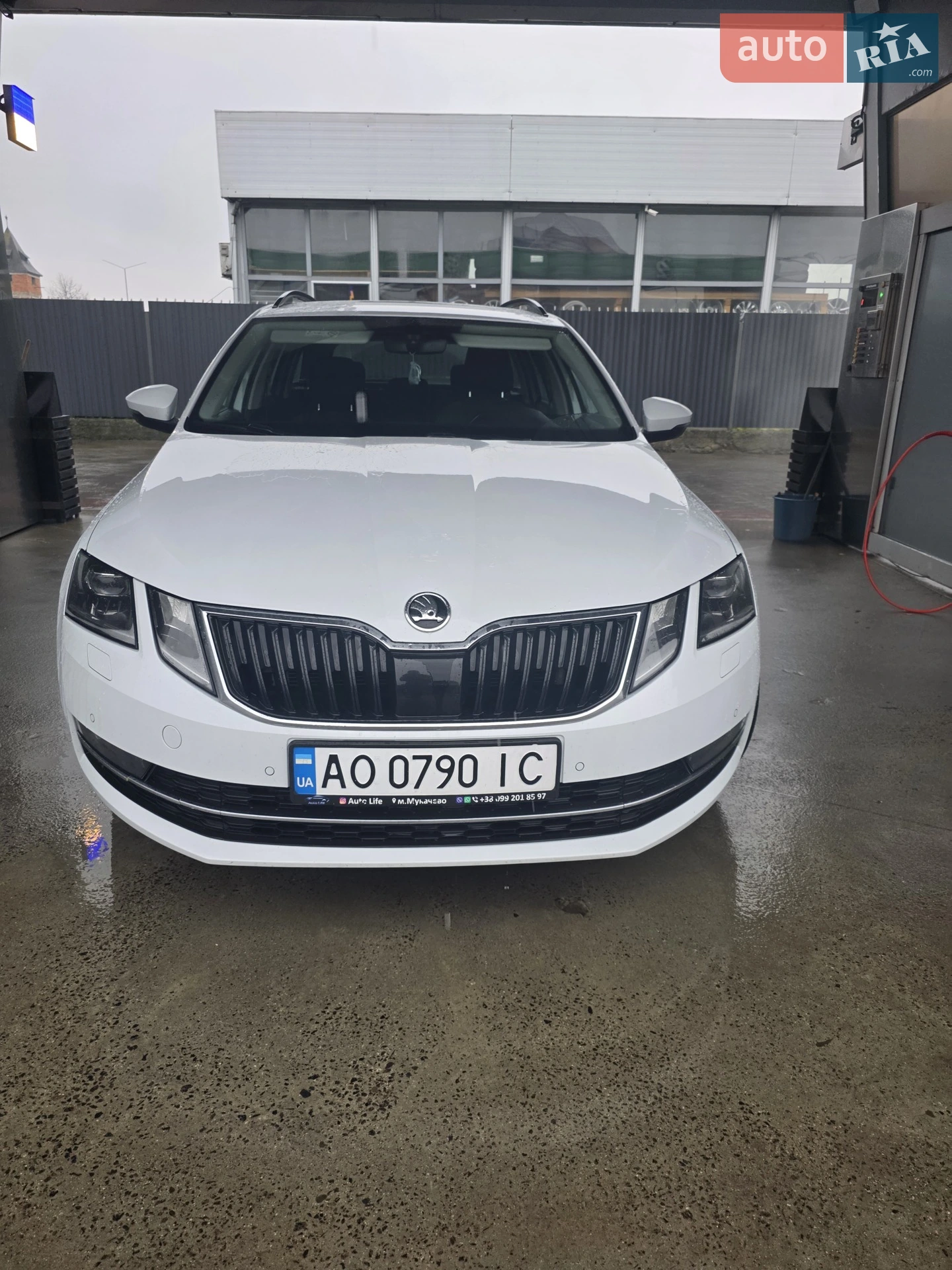 2017 Skoda Octavia - фото 1