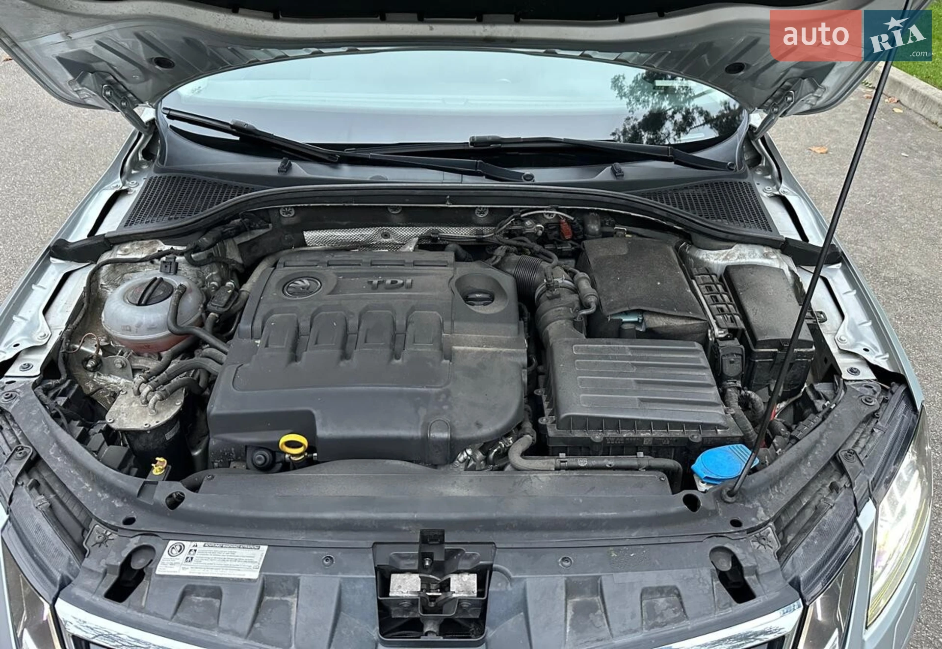 2017 Skoda Octavia - мініатюра 10