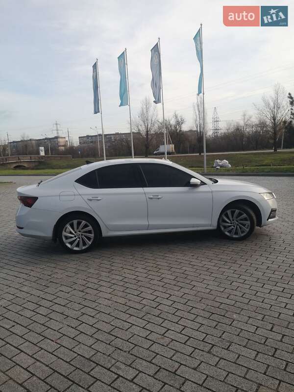 Лифтбек Skoda Octavia 2023 в Кривом Роге