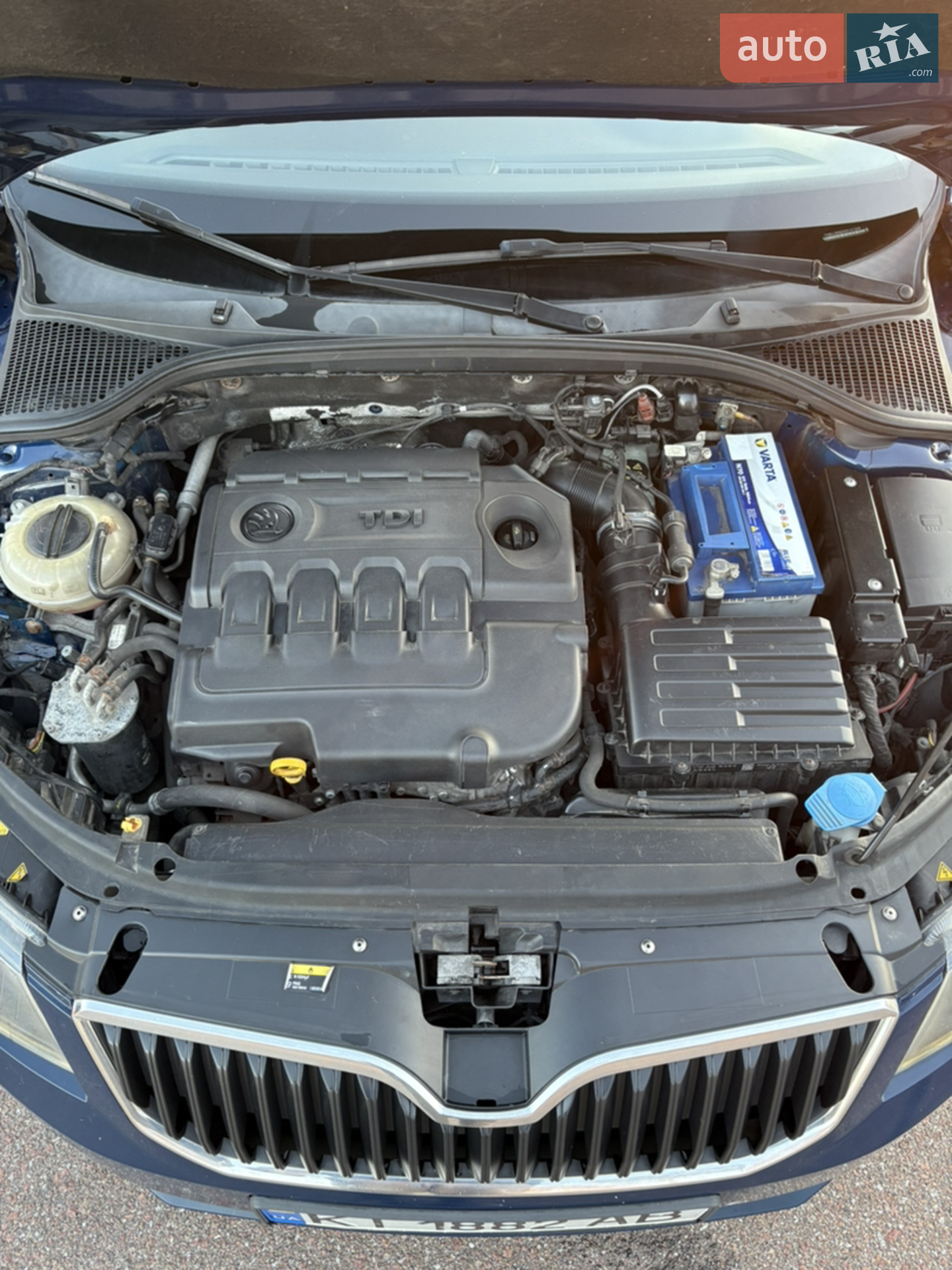 2016 Skoda Octavia - мініатюра 12