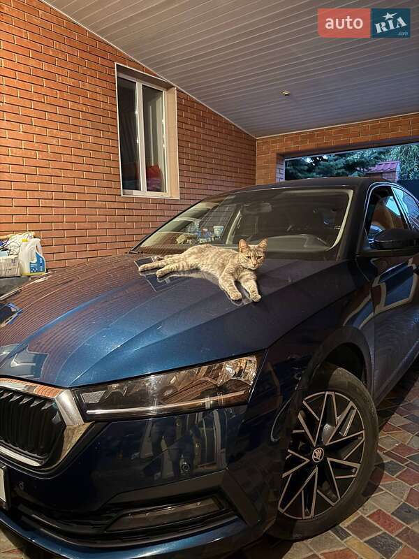 Ліфтбек Skoda Octavia 2020 в Кропивницькому фото 10 Ліфтбек Skoda Octavia 2020 в Кропивницькому