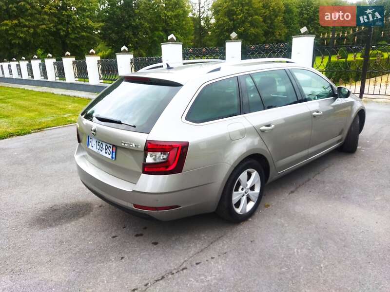 Универсал Skoda Octavia 2019 в Звягеле
