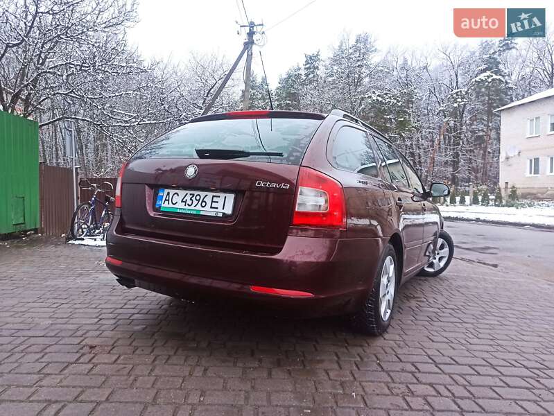 Універсал Skoda Octavia 2009 в Ківерцях