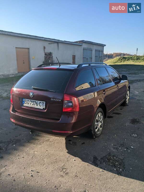 Универсал Skoda Octavia 2009 в Кременце