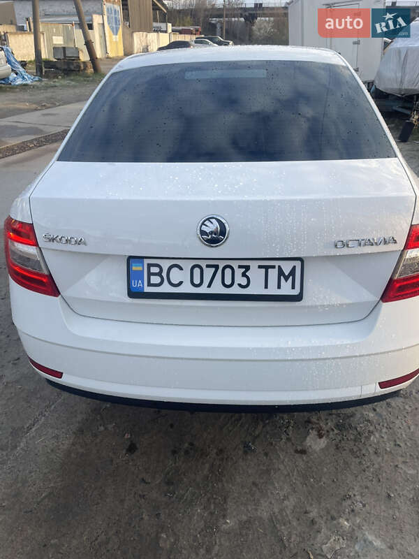 Лифтбек Skoda Octavia 2018 в Львове фото 9 Лифтбек Skoda Octavia 2018 в Львове