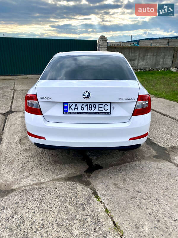 Лифтбек Skoda Octavia 2016 в Новом Буге