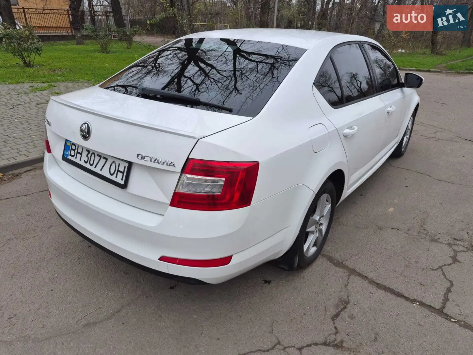 2013 Skoda Octavia - мініатюра 6