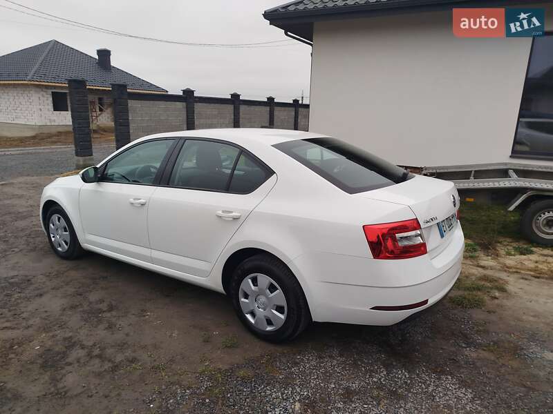 Лифтбек Skoda Octavia 2018 в Ровно фото 19 Лифтбек Skoda Octavia 2018 в Ровно