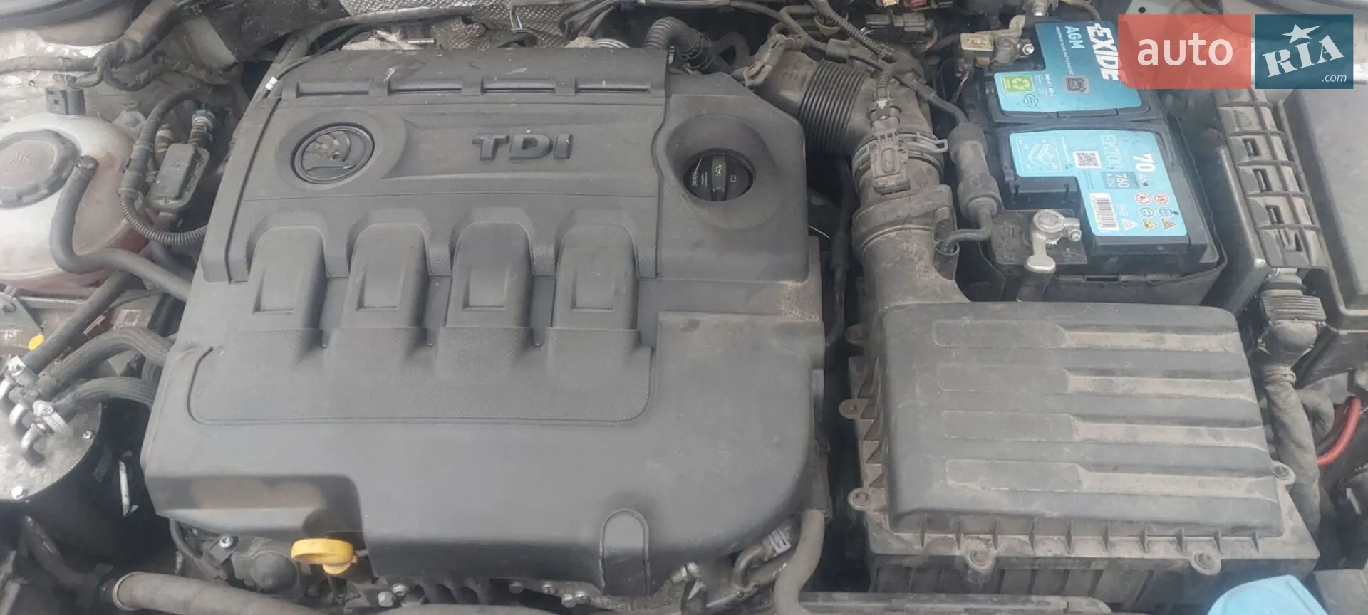 2019 Skoda Octavia - мініатюра 13