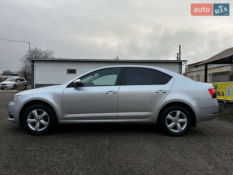 Лифтбек Skoda Octavia 2019 в Первомайске фото 9 Лифтбек Skoda Octavia 2019 в Первомайске