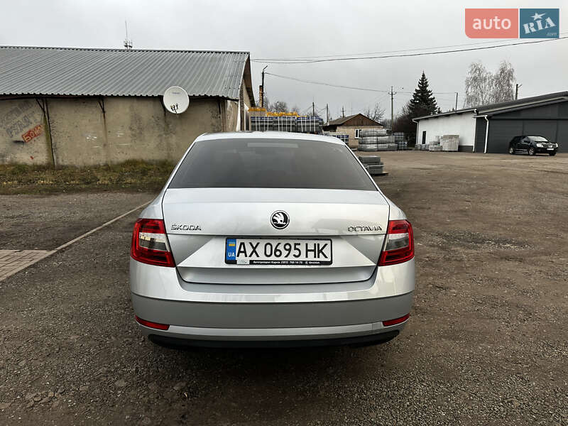 Лифтбек Skoda Octavia 2019 в Первомайске фото 12 Лифтбек Skoda Octavia 2019 в Первомайске