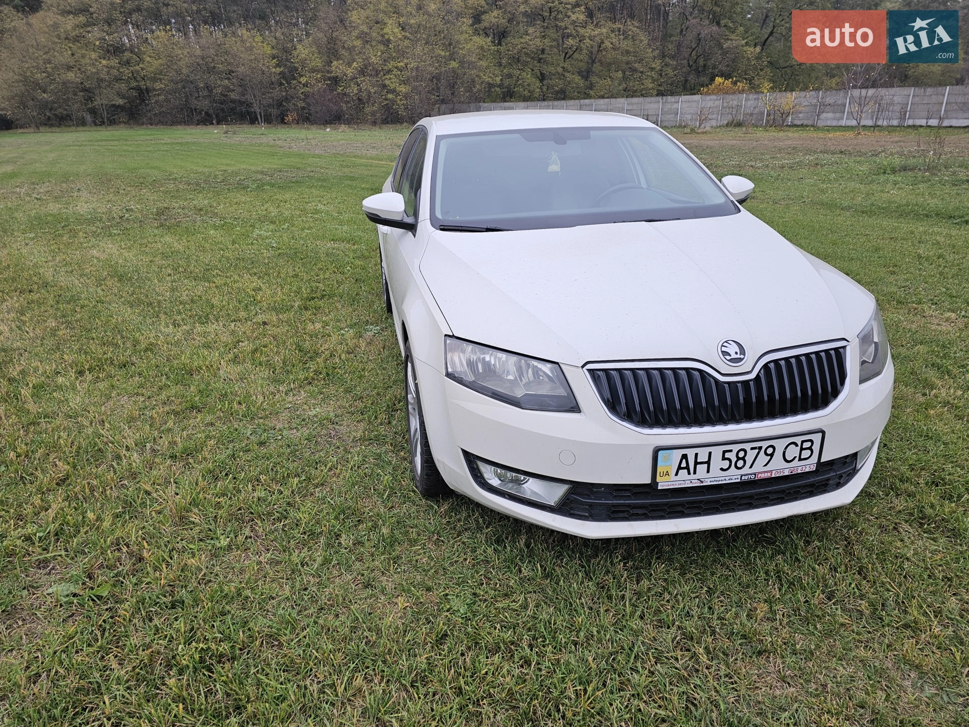 2013 Skoda Octavia - мініатюра 8