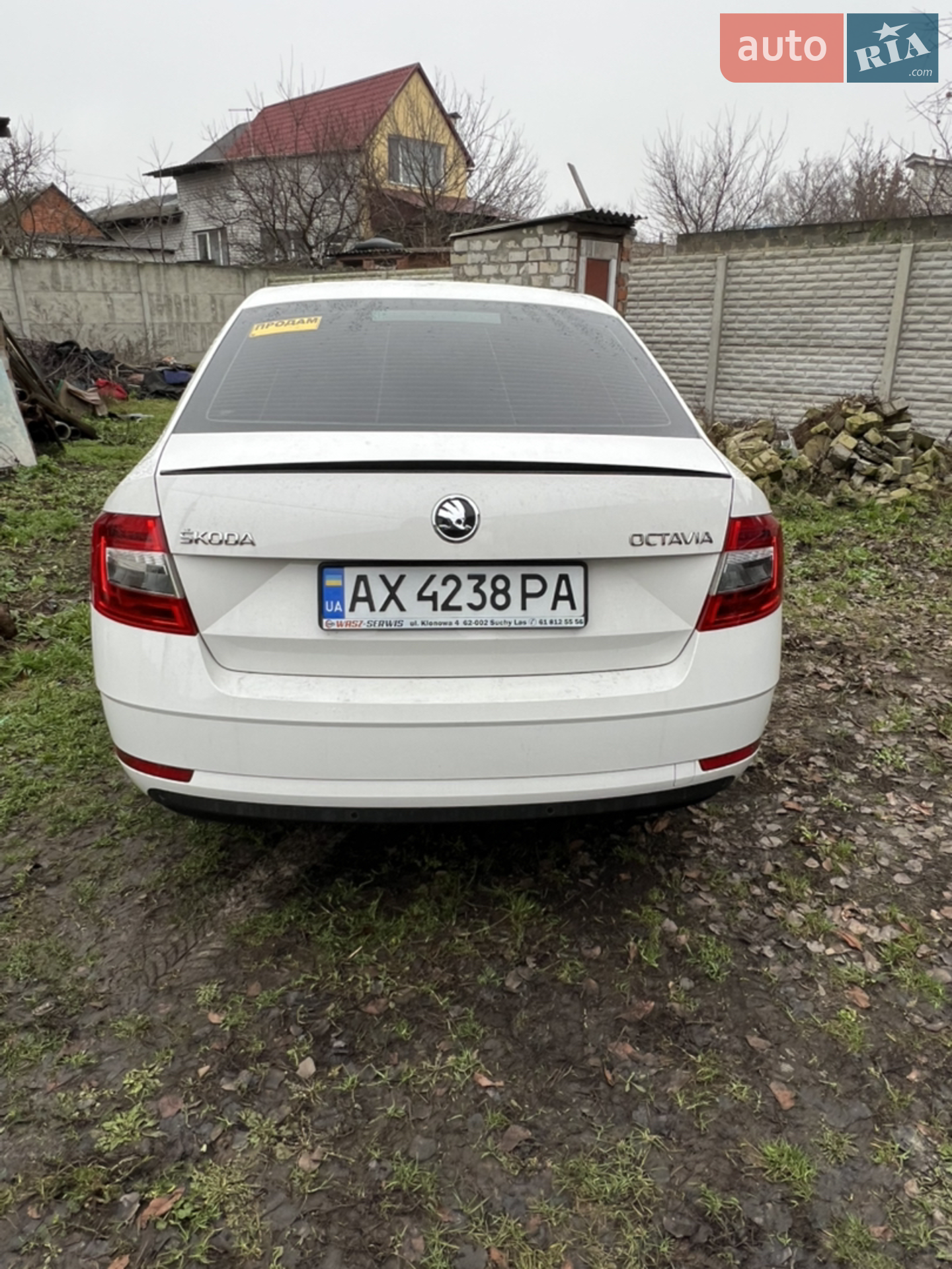 2019 Skoda Octavia - мініатюра 3
