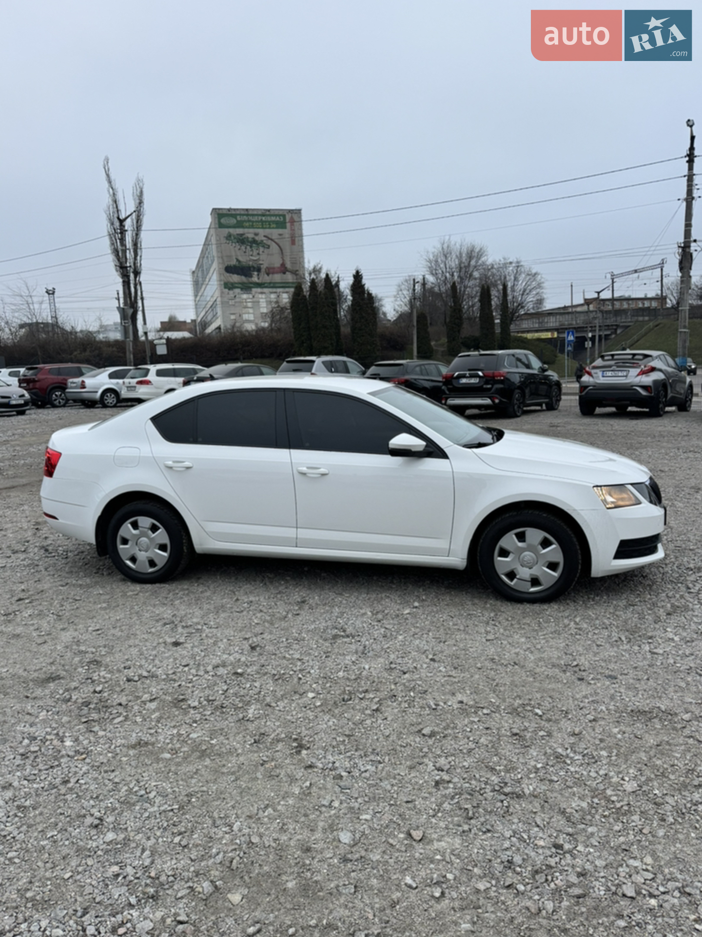 2019 Skoda Octavia - мініатюра 7