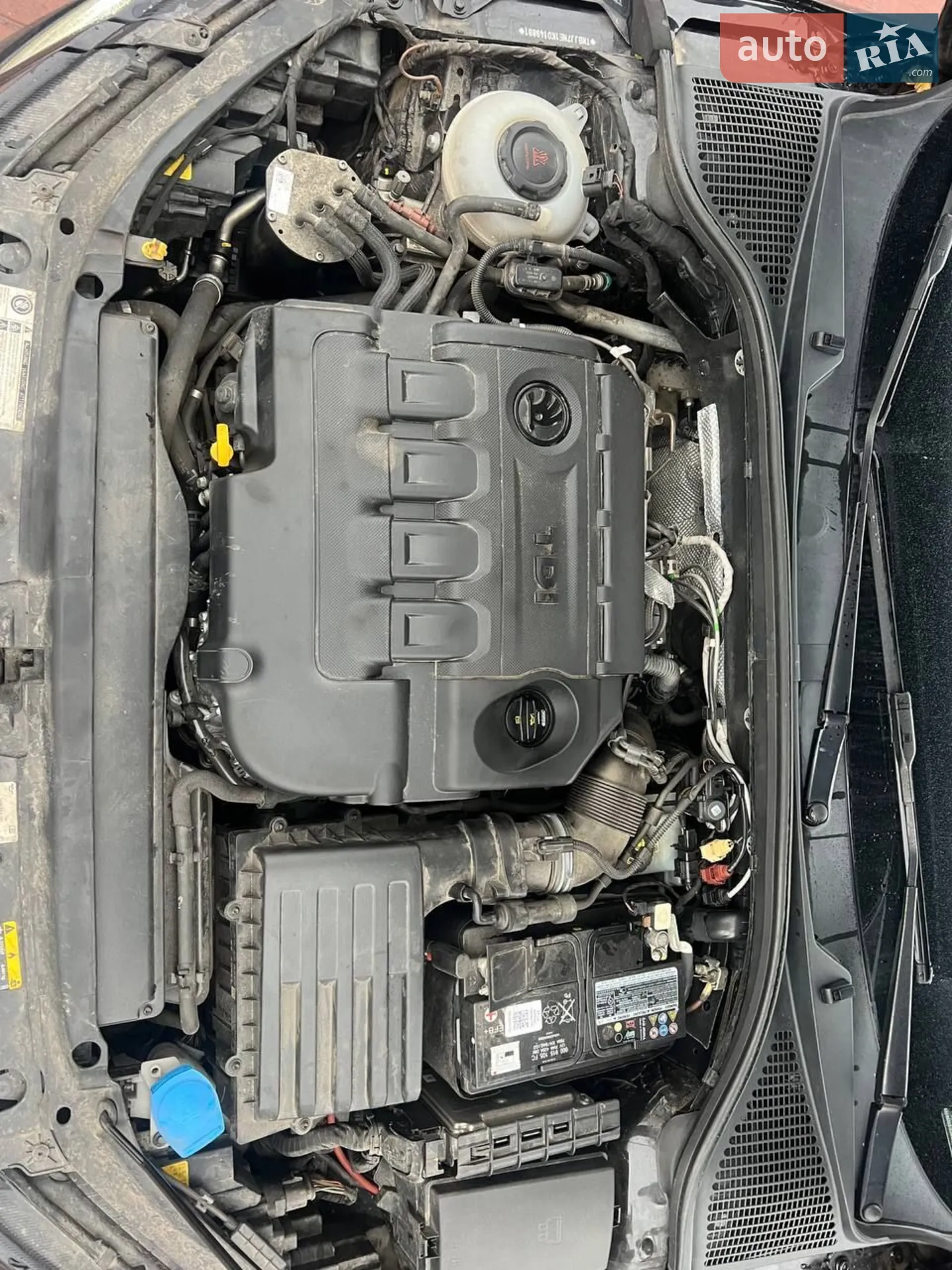 2019 Skoda Octavia - мініатюра 31