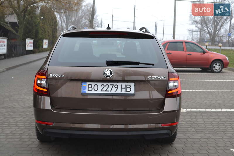 Універсал Skoda Octavia 2019 в Тернополі