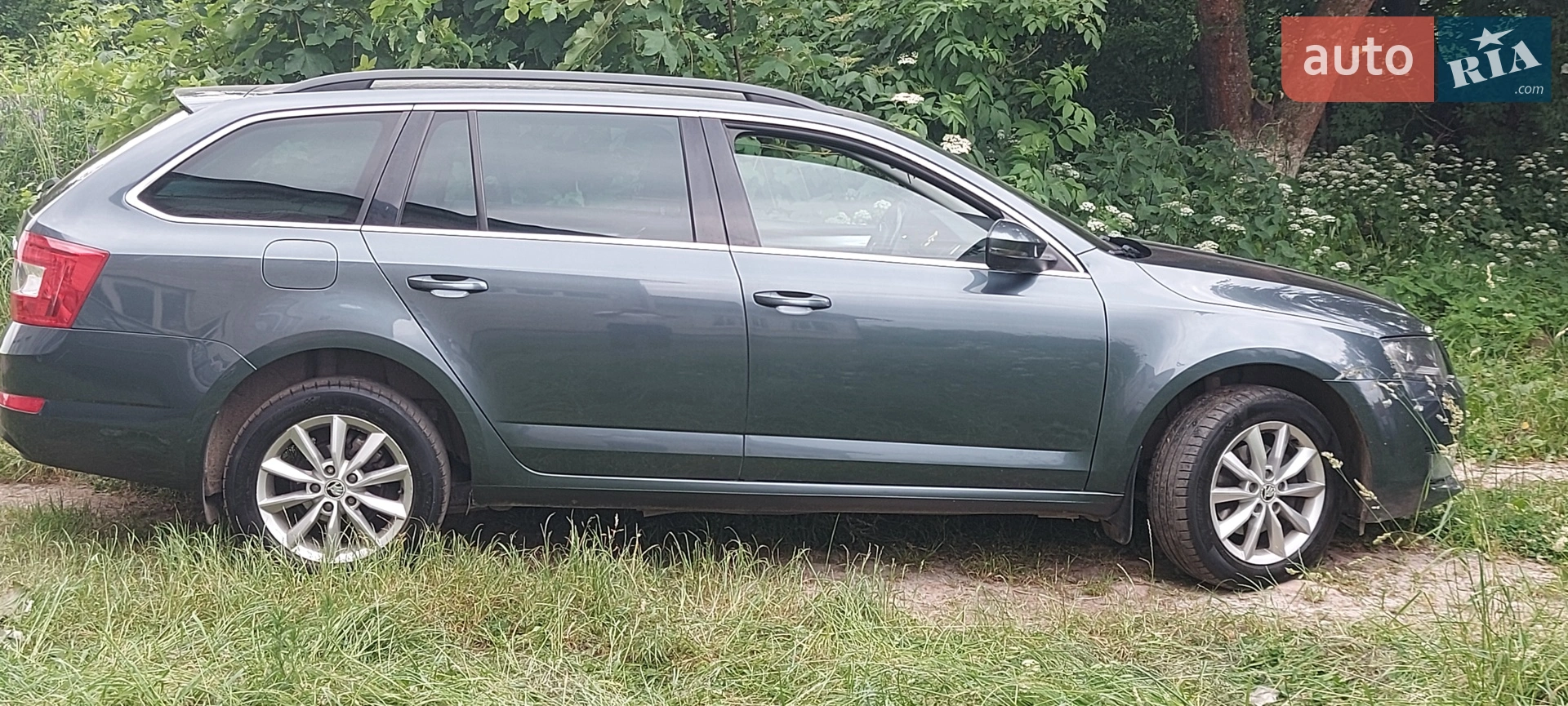 2016 Skoda Octavia - мініатюра 4