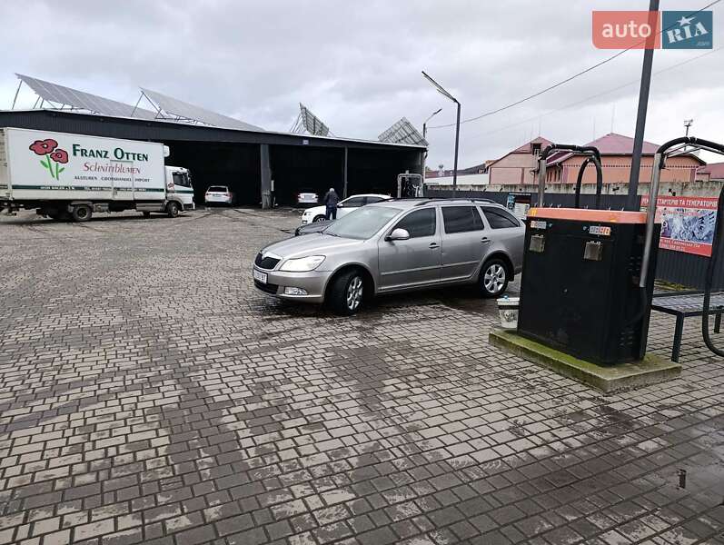 Универсал Skoda Octavia 2009 в Мукачево