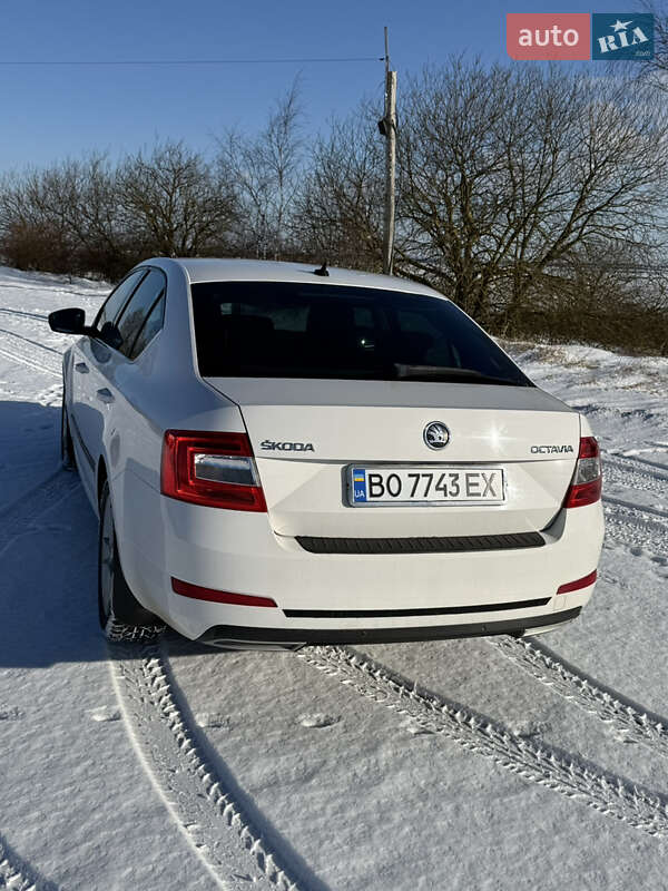 Ліфтбек Skoda Octavia 2013 в Тернополі фото 13 Ліфтбек Skoda Octavia 2013 в Тернополі