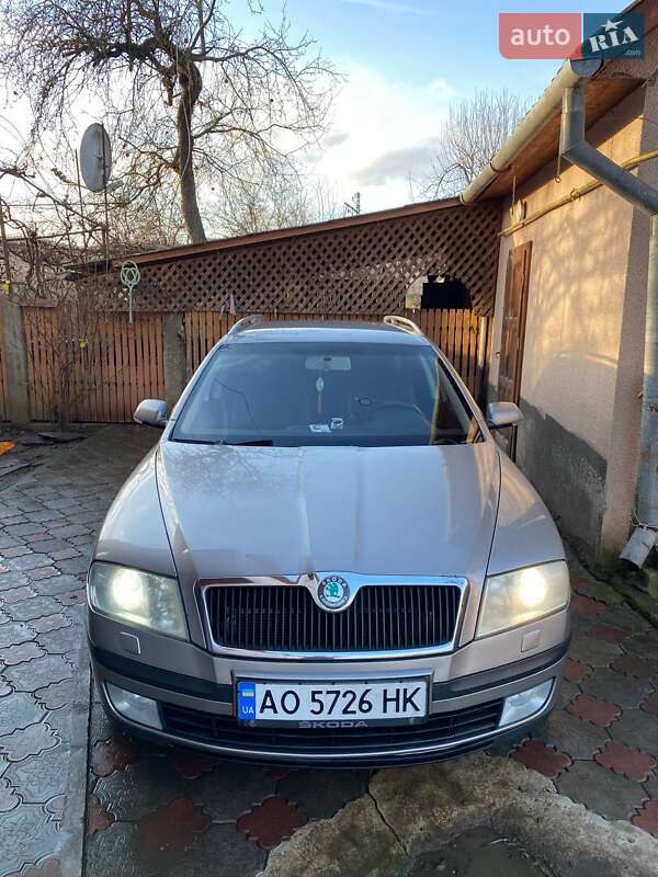 Универсал Skoda Octavia 2007 в Великом Березном