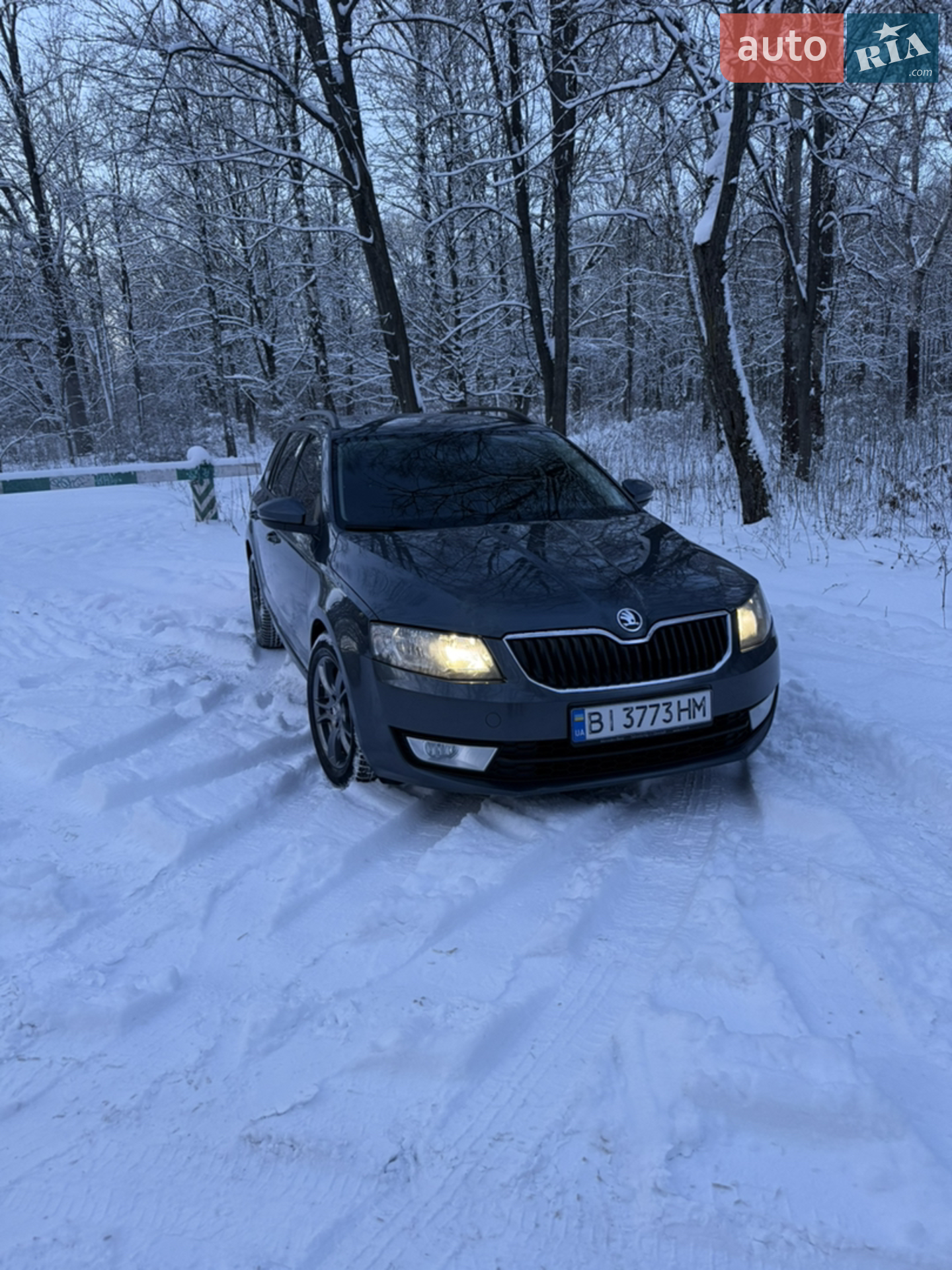 2016 Skoda Octavia - мініатюра 2