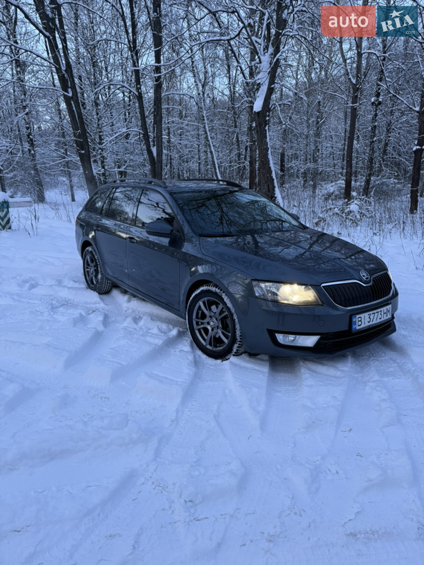 2016 Skoda Octavia - фото 1