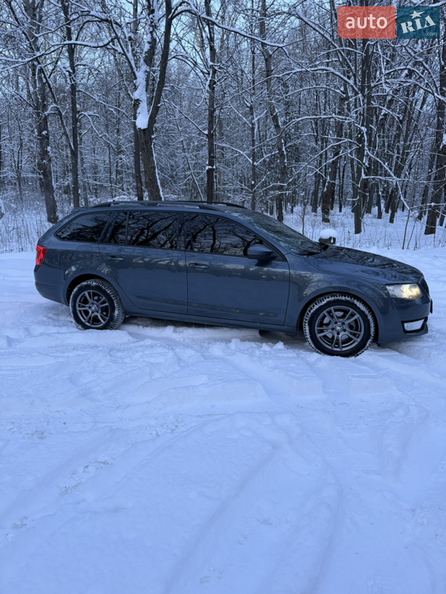 2016 Skoda Octavia - мініатюра 3