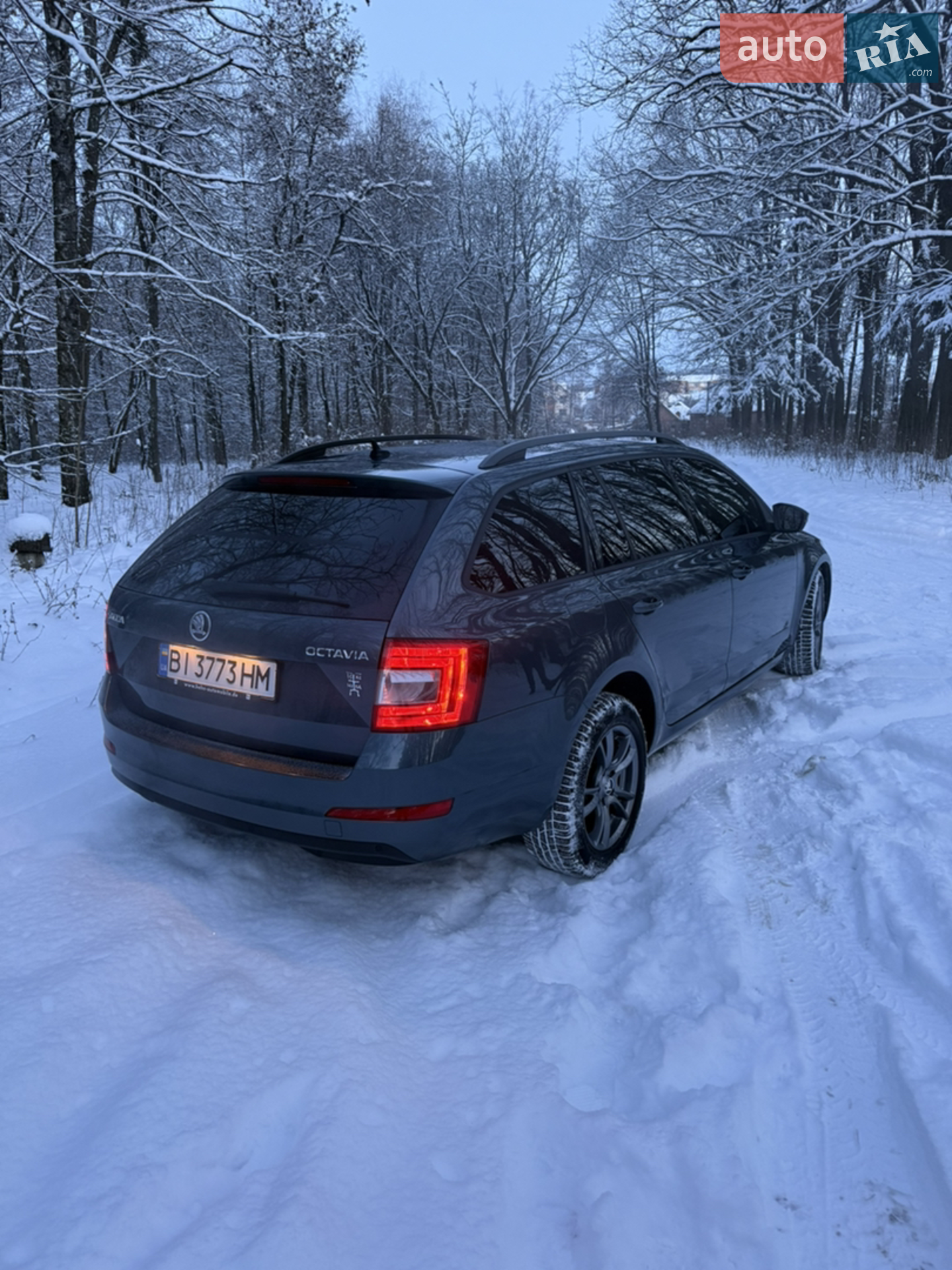 2016 Skoda Octavia - мініатюра 4