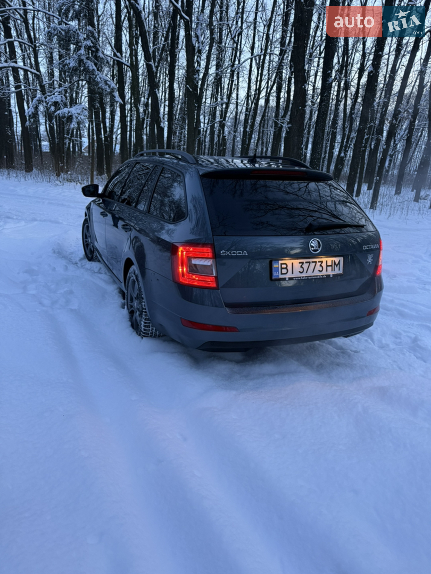 2016 Skoda Octavia - мініатюра 5