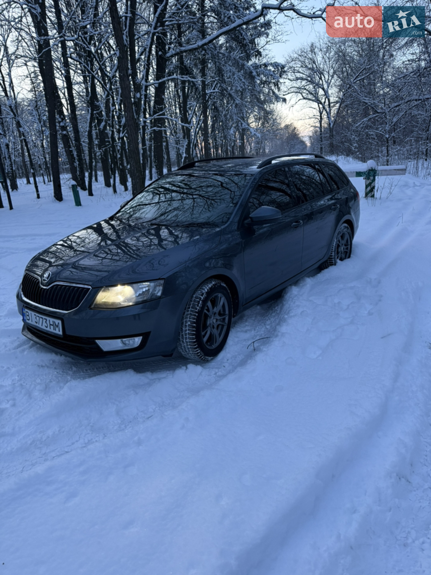 2016 Skoda Octavia - мініатюра 6