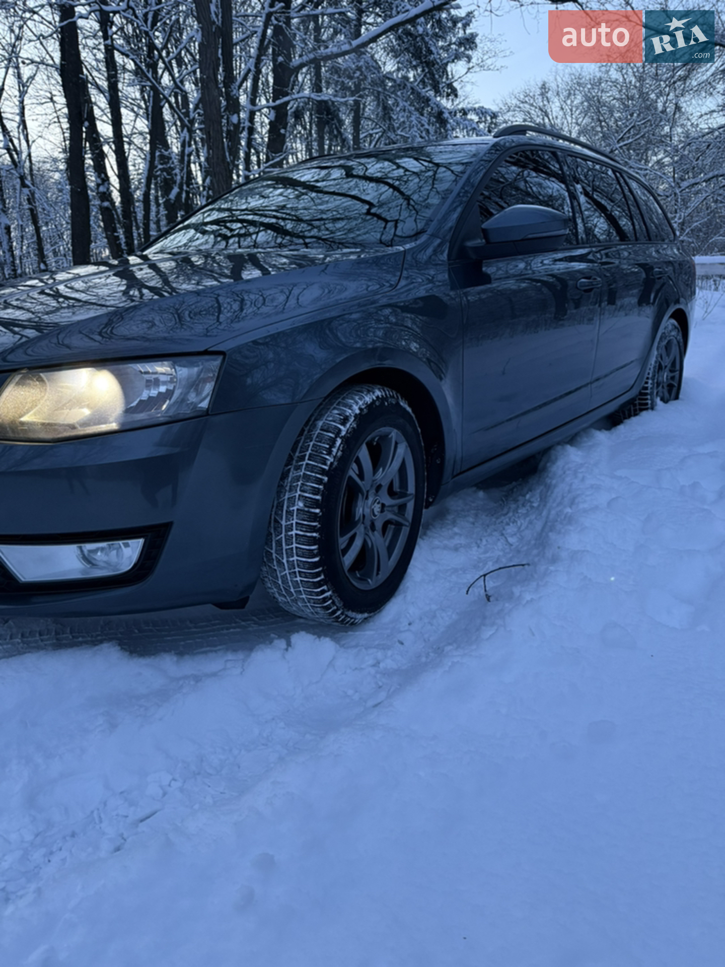 2016 Skoda Octavia - мініатюра 7