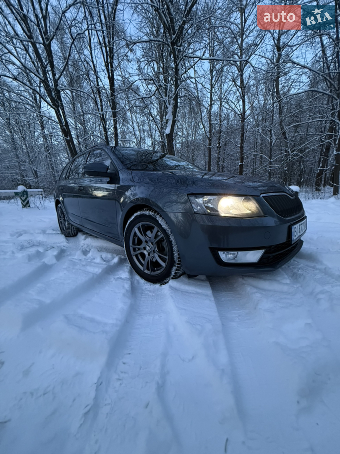 2016 Skoda Octavia - мініатюра 8