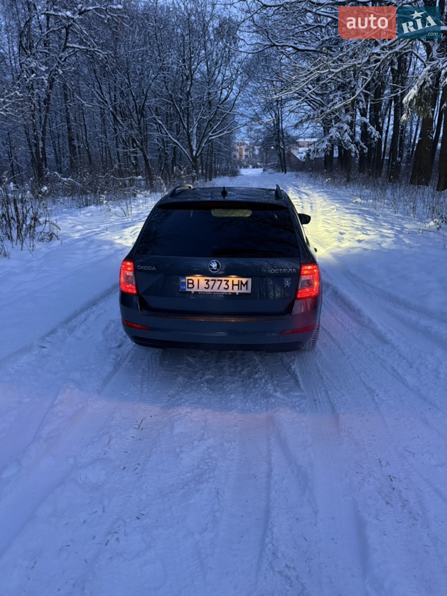 2016 Skoda Octavia - мініатюра 27
