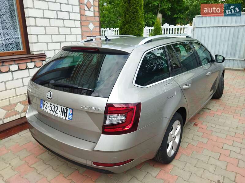 Универсал Skoda Octavia 2019 в Звягеле фото 51 Универсал Skoda Octavia 2019 в Звягеле