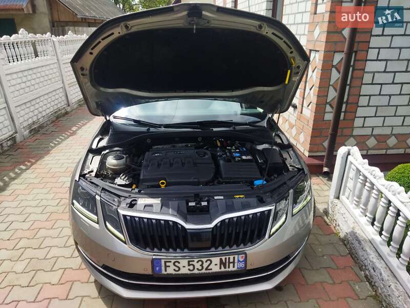Универсал Skoda Octavia 2019 в Звягеле фото 68 Универсал Skoda Octavia 2019 в Звягеле