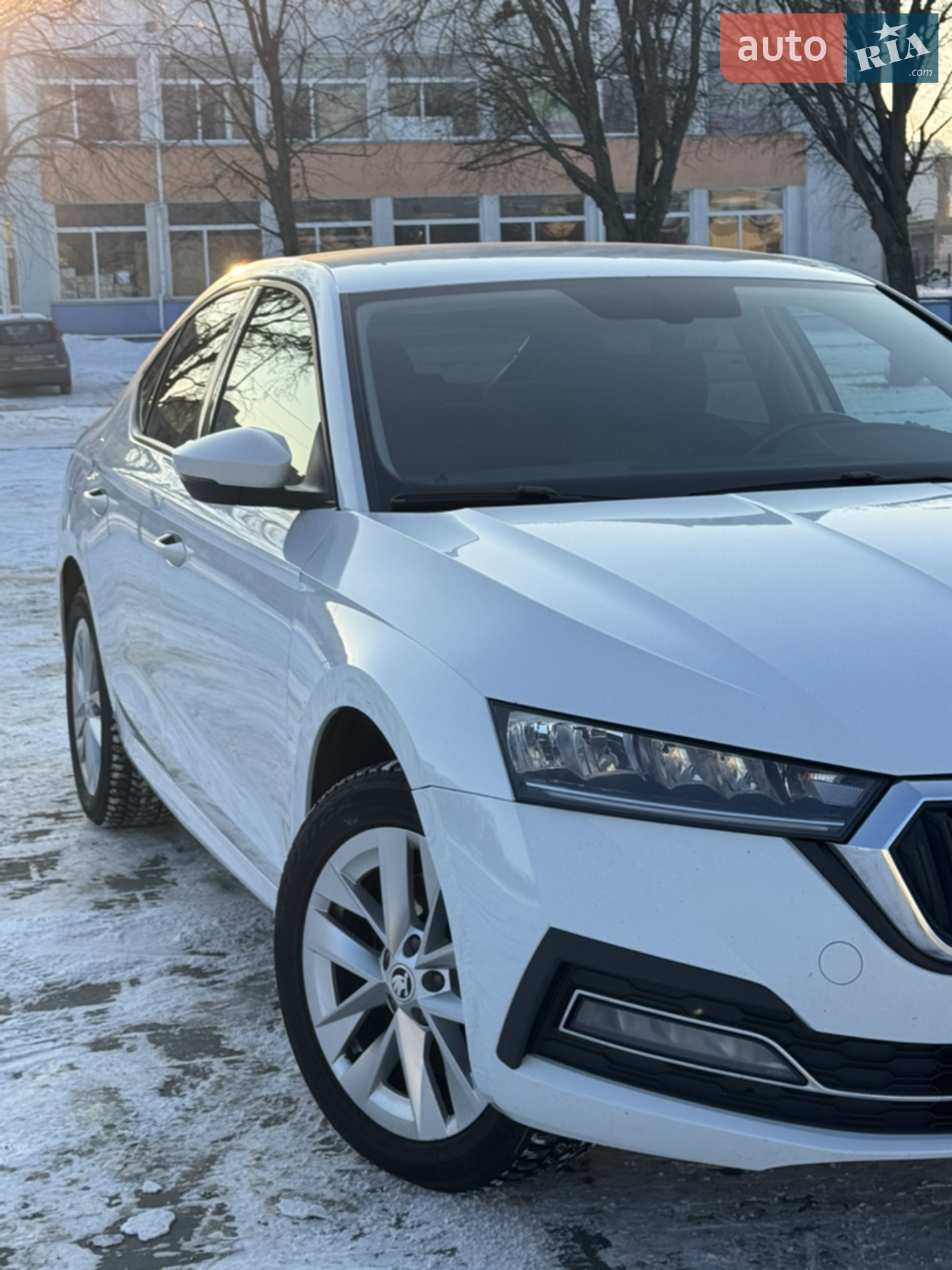 2021 Skoda Octavia - мініатюра 12