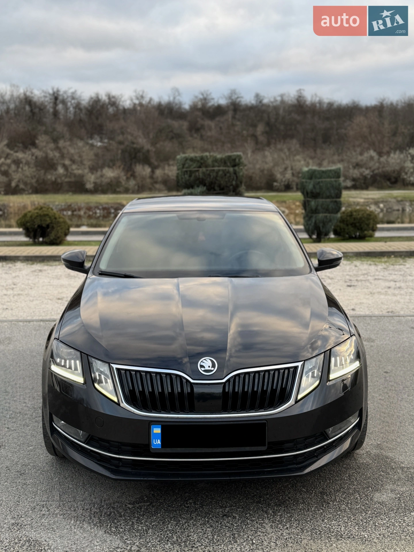 2018 Skoda Octavia - мініатюра 9