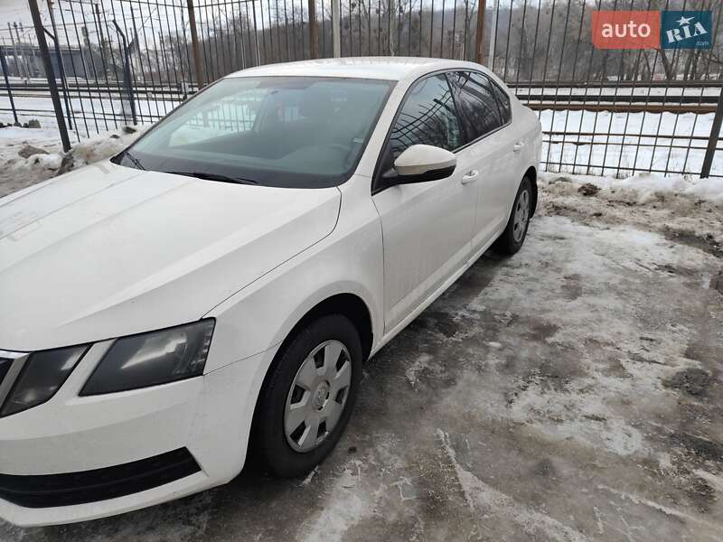 Лифтбек Skoda Octavia 2019 в Киеве фото 4 Лифтбек Skoda Octavia 2019 в Киеве